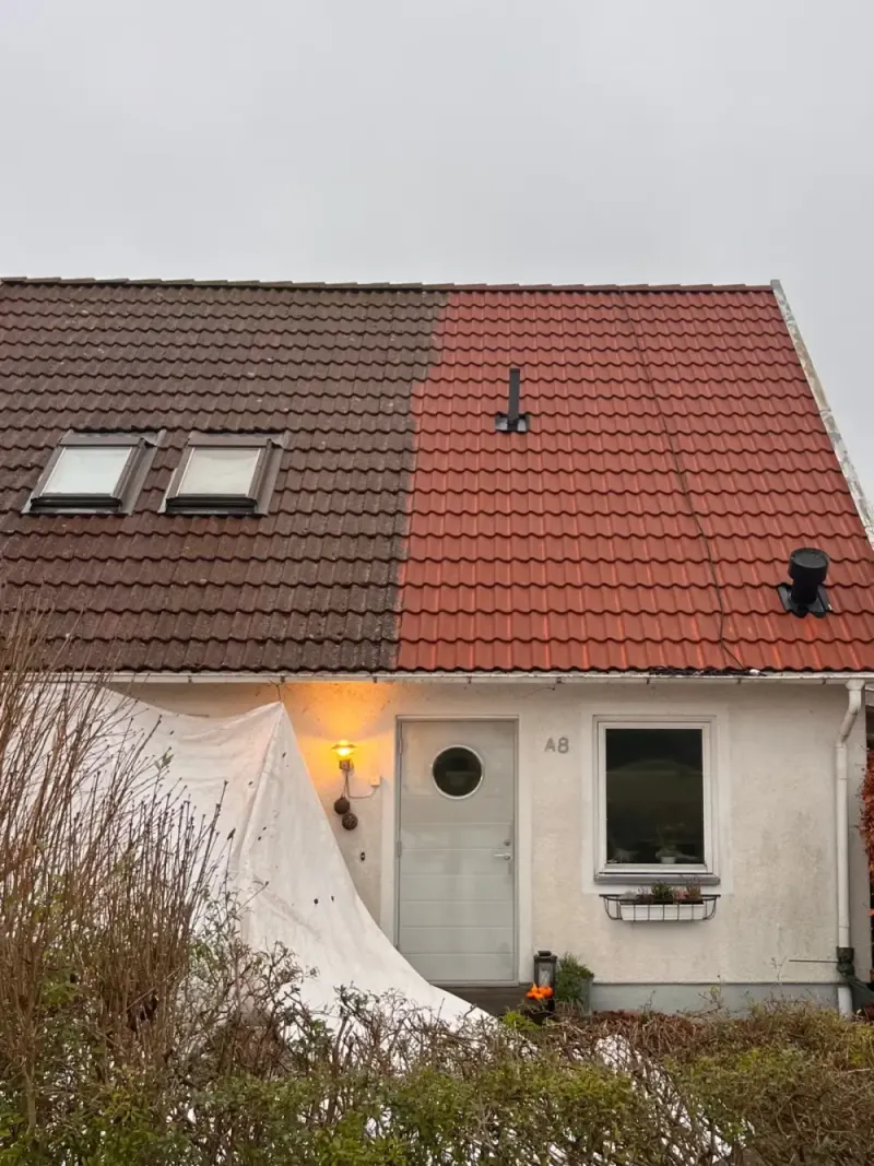 Takvård & Behandling