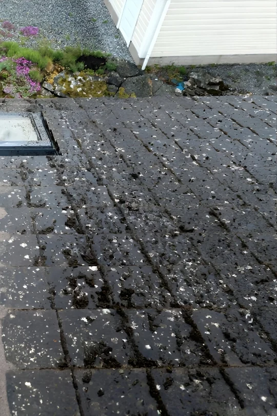 Rent tegeltak efter taktvätt och algbehandling i Helsingborg