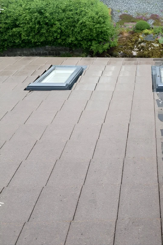 Mossigt tegeltak före taktvätt på villa i Helsingborg